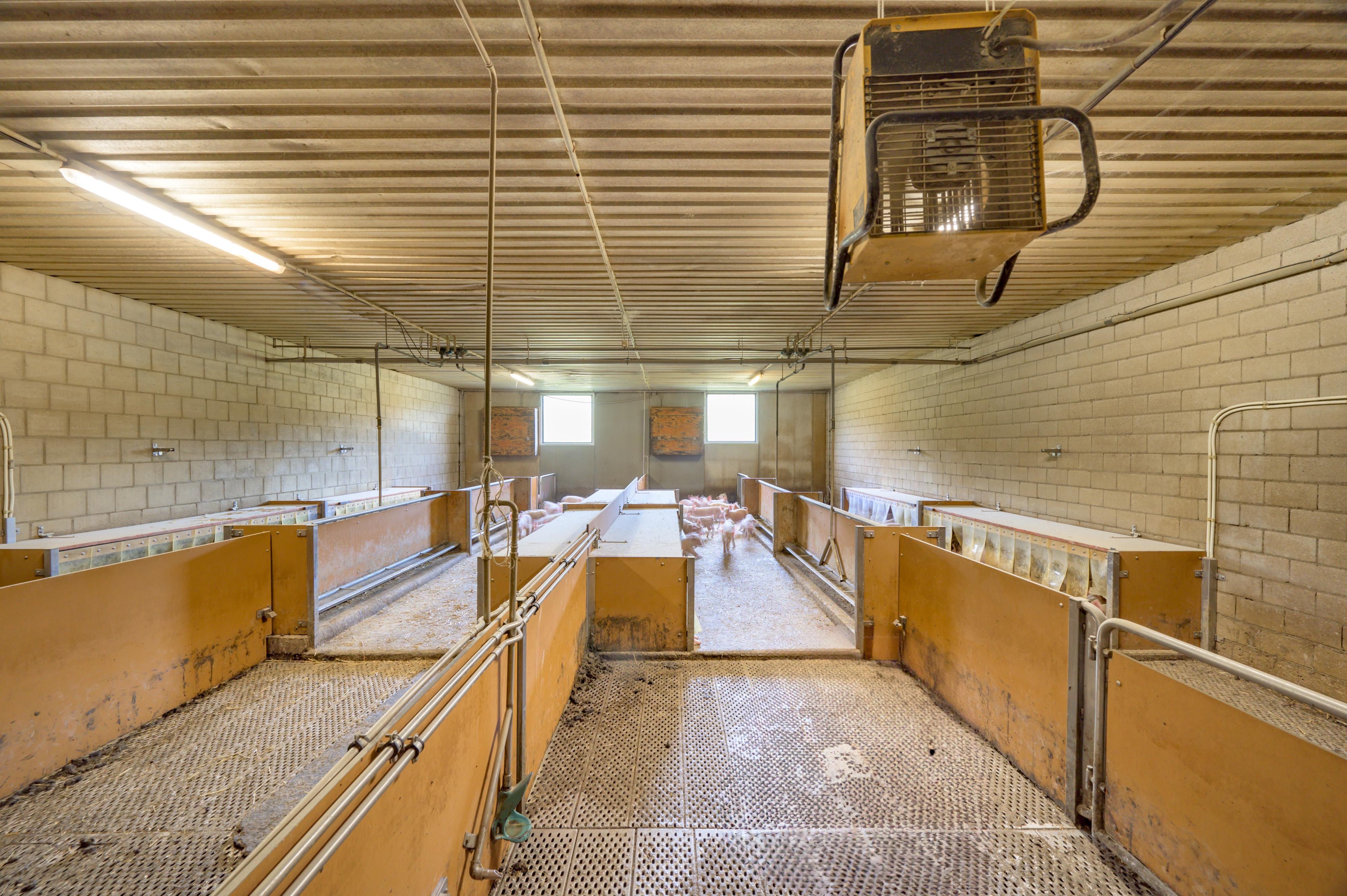 Domaine agricole avec porcherie sur 2 sites - Image# 6