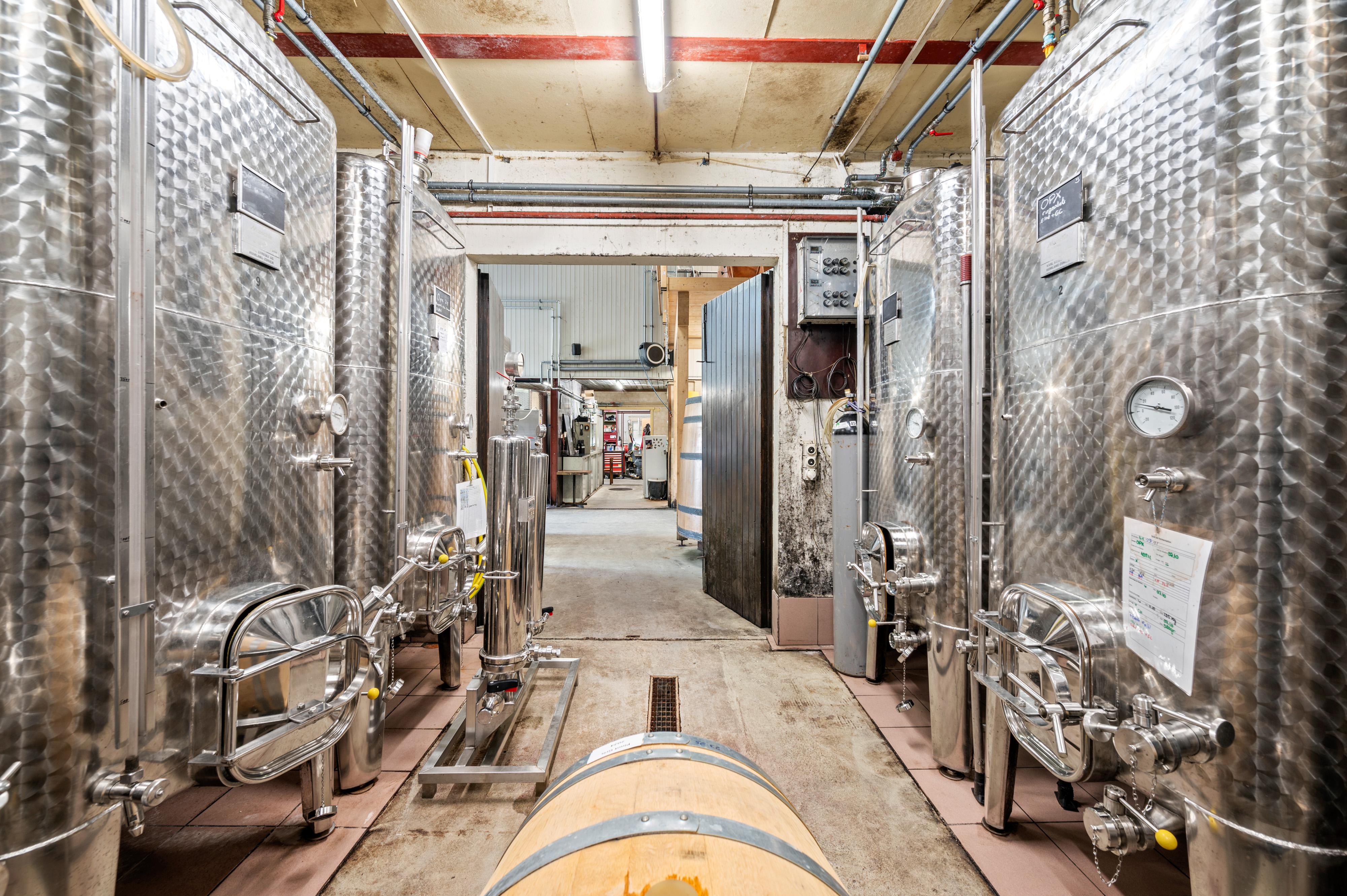 Société anonyme avec domaine vini-viticole à vendre - Image# 6