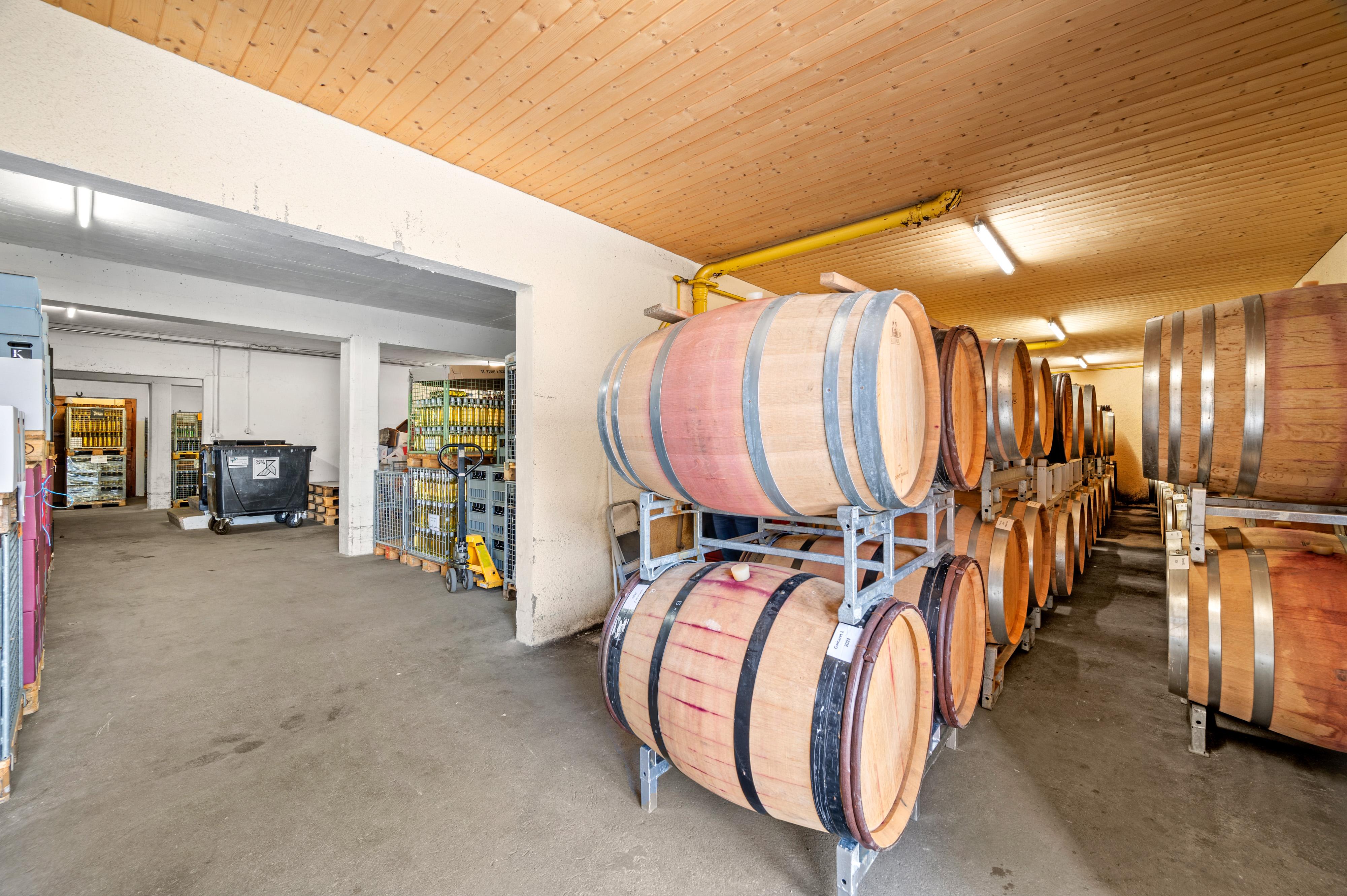 Société anonyme avec domaine vini-viticole à vendre - Image# 9